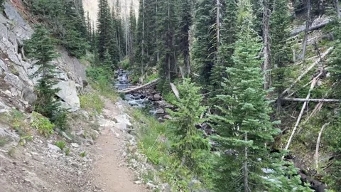 Wallowas Eagle Cap Wilderness: hiking a long a creek Stock Footage 329454959