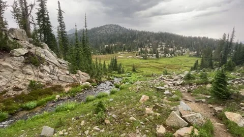Wallowas Eagle Cap Wilderness: meadow Video stock 329454986