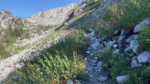 Wallowas Eagle Cap Wilderness: rocky trail and mountain views Stock Footage 329455014