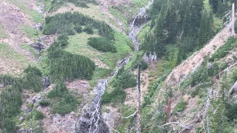 Wallowas Eagle Cap Wilderness: small waterfall Video stock 329454958
