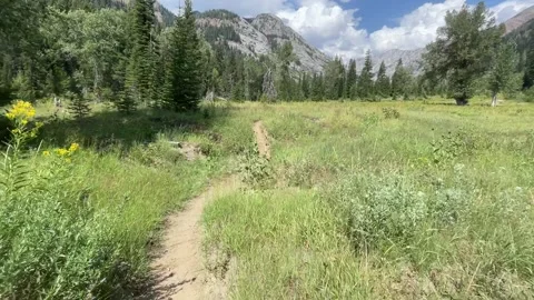 Wallowas Eagle Cap Wilderness: through a meadow Stock Footage 329454981