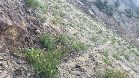 Wallowas Eagle Cap Wilderness: trail running near Hawkins Pass Stock Footage 329454971