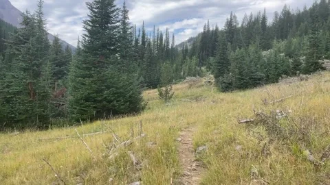 Wallowas Eagle Cap Wilderness: trail through meadow Video stock 329454979