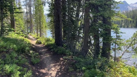 Wallowas Eagle Cap Wilderness: trail beside lake Stock-Footage 329455039