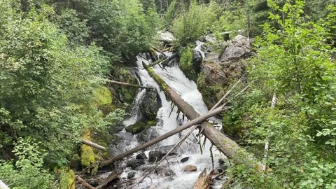 Wallowas Eagle Cap Wilderness: waterfall Stock Footage 329454921