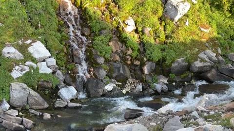 Wallowas Eagle Cap Wilderness: waterfall flows along sunny green cliff Stock Footage 329454963