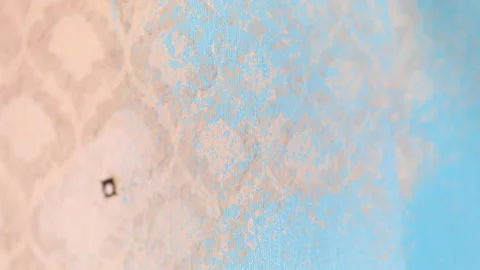 Wallpaper is being repainted by roller in blue Stock Footage 113788736