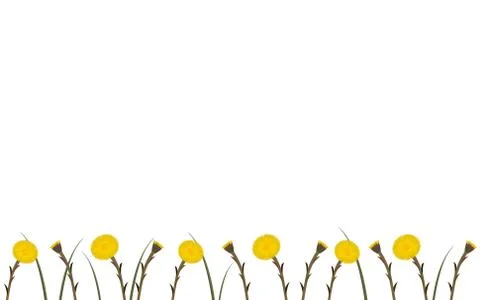 Wallpaper coltsfoot in springtime Stock Illustration
