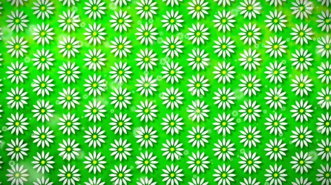Wallpaper Flower, Loopable Motion Background Stock Footage 50597683