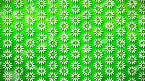 Wallpaper Flower, Loopable Motion Background Stock Footage 50601211