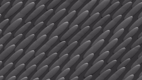 Wallpaper with geometric patterns. Stock Footage 337621031
