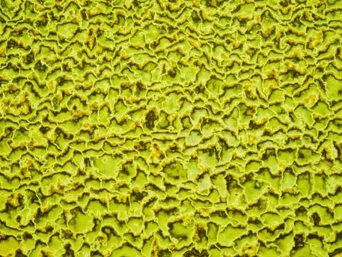 Wallpaper Stock Illustration