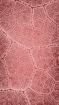 Wallpaper leaf brown pattern vertical Stock Photos