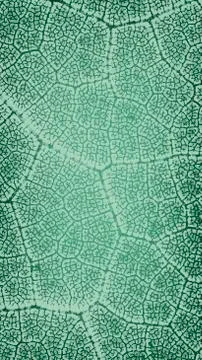 Wallpaper leaf light green pattern vertical Stock Photos