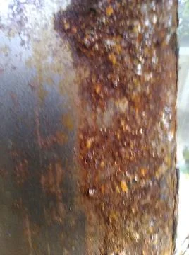 Wallpaper of metal with different elements in a backyard in daylight Fotos Stock