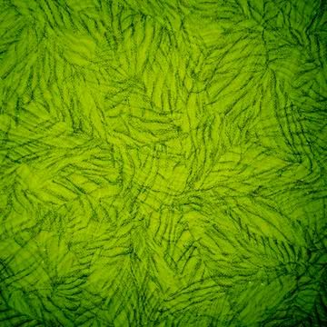 Wallpaper Stock Photos