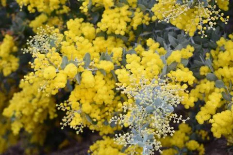 Wallpaper Stock Photos