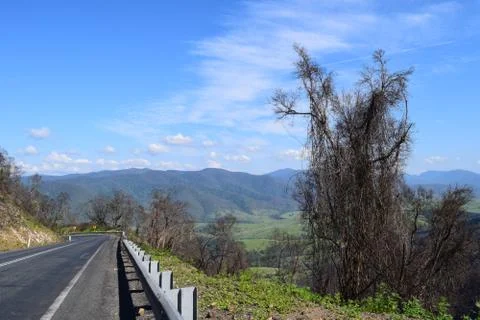 Wallpaper Stock Photos