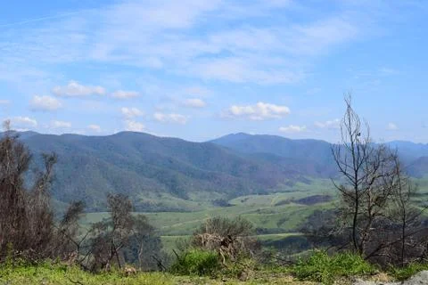 Wallpaper Stock Photos