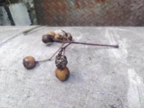 Wallpaper of random objects with different elements in a backyard in daylight Fotos Stock