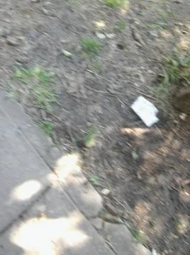 Wallpaper of a sidewalk with different city elements in daylight Fotos Stock