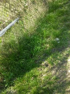 Wallpaper of a sidewalk with different city elements in daylight Fotos Stock