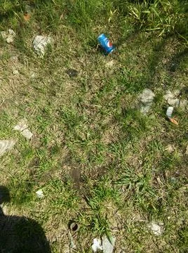 Wallpaper of a sidewalk with different city elements in daylight Fotos Stock