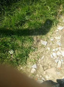 Wallpaper of a sidewalk with different city elements in daylight Fotos Stock