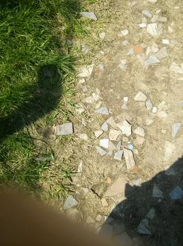 Wallpaper of a sidewalk with different city elements in daylight Fotos Stock