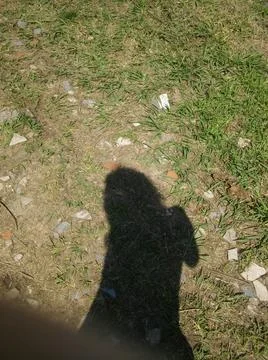 Wallpaper of a sidewalk with different city elements in daylight Fotos Stock