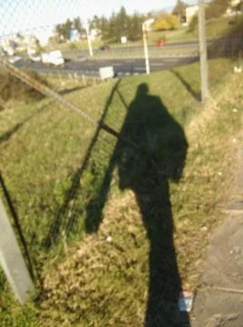 Wallpaper of a sidewalk with different city elements in daylight Fotos Stock