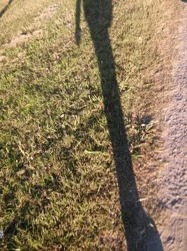 Wallpaper of a sidewalk with different city elements in daylight Fotos Stock