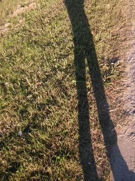Wallpaper of a sidewalk with different city elements in daylight Stock Photos