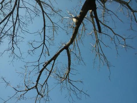 Wallpaper of a sky with different elements in daylight 写真素材
