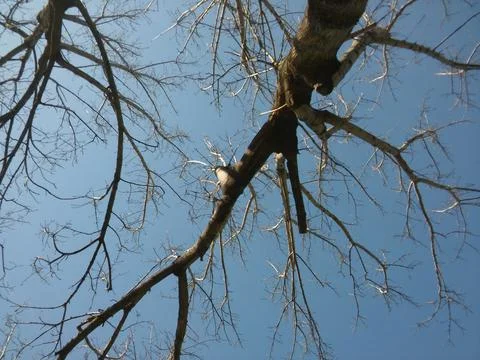 Wallpaper of a sky with different elements in daylight Stock Photos