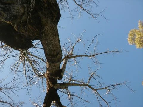 Wallpaper of a sky with different elements in daylight 写真素材