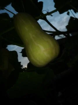 Wallpaper of a sky with different elements Stock Photos