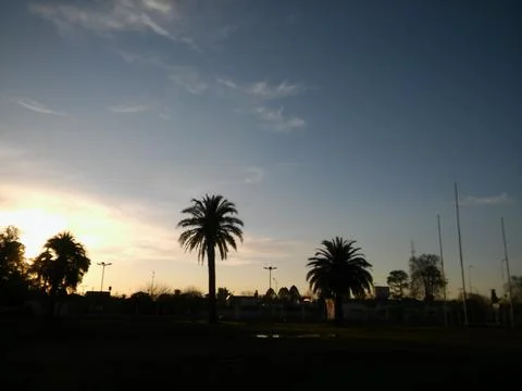 Wallpaper of a sky with different elements with trees and palms 写真素材