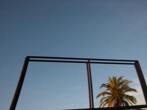 Wallpaper of a sky with different elements with trees and palms 스톡 사진