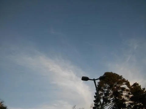 Wallpaper of a sky with different elements with trees and palms 스톡 사진