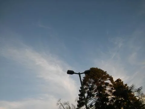 Wallpaper of a sky with different elements with trees and palms Stock Photos