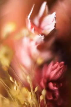 Wallpaper for smartphone screen.. Stock Photos