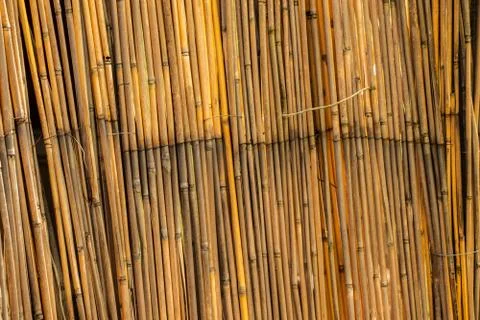 Wallpaper with the texture of tree bark bamboo Stock Photos