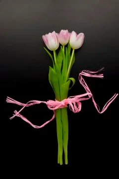 Wallpaper with tulip Stock Photos