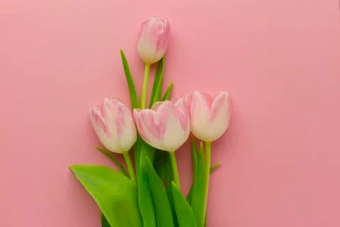 Wallpaper with tulip Foto stock
