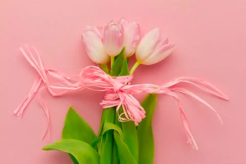 Wallpaper with tulip Stock Photos