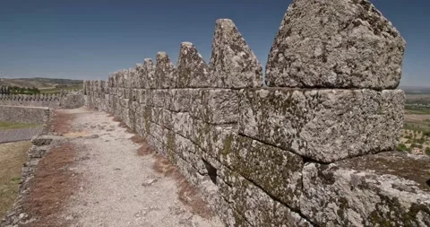 Walls backyard 스톡 동영상 143263695