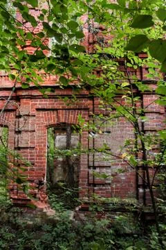 Walls in the forest. Stock Photos