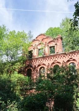 Walls in the forest. Stockfoto's