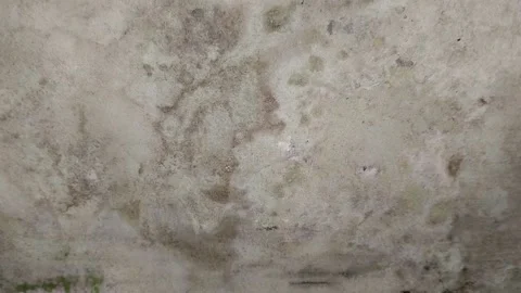 The walls of the house are damp due to rainwater seepage Видео 313645189